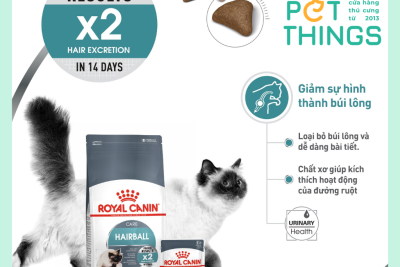 Hạt Royal Canin