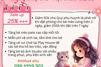 Chào mừng Ngày Phụ Nữ Việt Nam 20/10