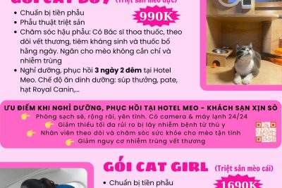 Combo gói triệt sản + Chăm sóc + Nghỉ dưỡng, phục hồi