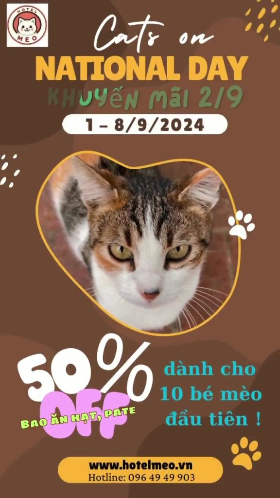 Cats on NATIONAL DAY – Khuyến mãi 2/9