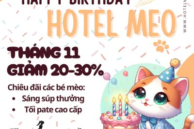 Happy Birthday HOTEL MEO