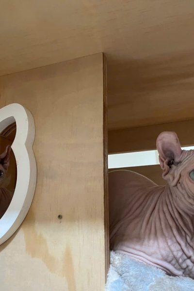 z5904085405395_e666607bef7275e0674f5137075c7b08