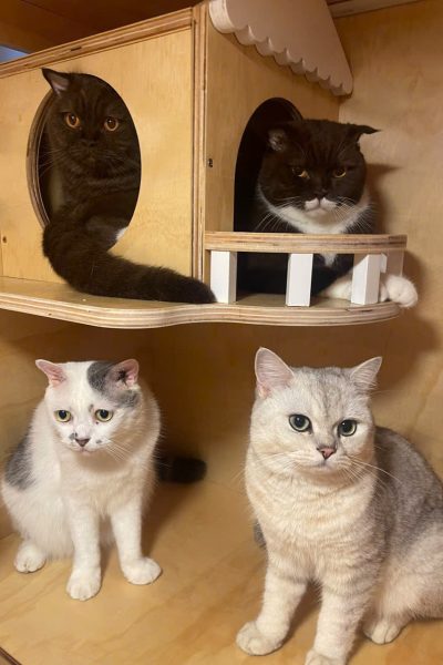 z5904085411294_fd5ffecfc3e8f843f009e8775f966f01