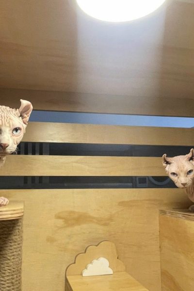 z5904085412497_1e9c4bdefe472c683308ed9336307d77