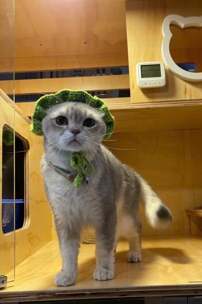 z5904085430368_970379d68a5a0c46a3788f6c413c64ca