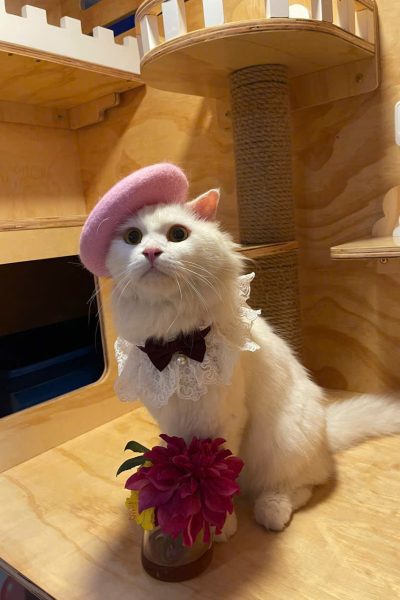 z5904085435368_1cd30382c65f3a3879a4f1ae88850bf1