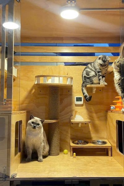 z5904085448938_81f2dea68d90f6e96aab2f6eb6bf2f27