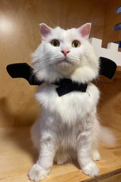 z5904085462482_1473bbf3028b4fcd43d48f26284b1a6a