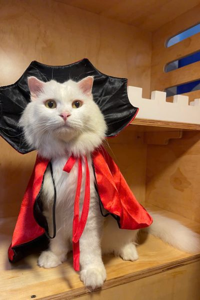 z5904085494623_3aa015d2a0c9777ef32bd972dd97bccd