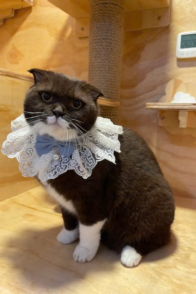 z5904085501023_129487e329f8657b3a5025781c27a9ca