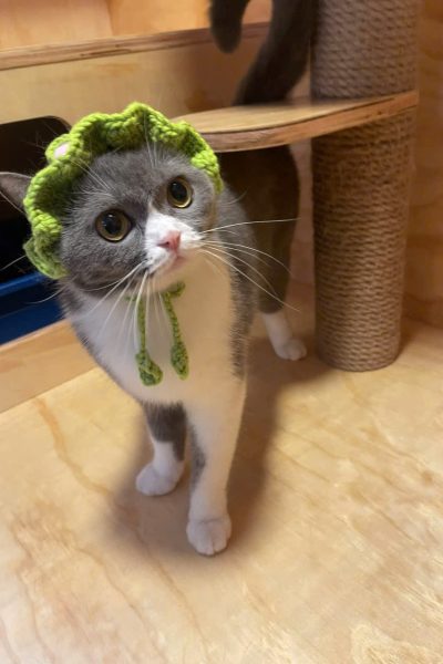 z5904085507806_a3af19f3af1d9cb14f314f9441ac58ef