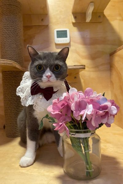 z5904085519461_181a0ccc63500a1a947b5310e78349ff