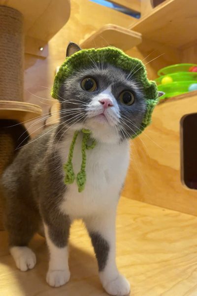 z5904085521373_316921cff7a913f41ed22fe0357586e4