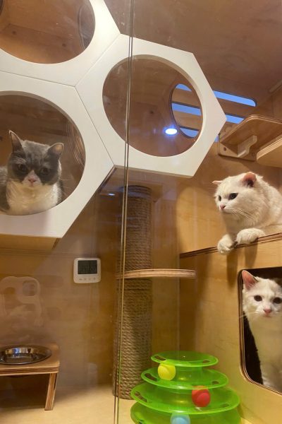 z5904085777422_ecd79ce6fc4e1bd8f0c301e191912243