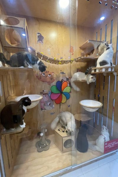 z5904085781097_5e4c59fe449ac024edf82477a97c5c1a