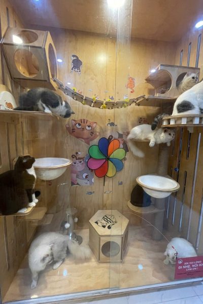 z5904085786857_dc115d5dd23c65f869ad636645fc56ff