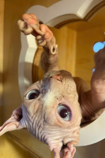 z5904085963598_8e7b3a734c71a3025dbbcd43cd347a3d