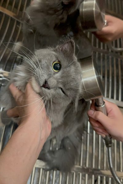 z7284335235281_2fcc07825ca5d61a409ab83f44b261e2