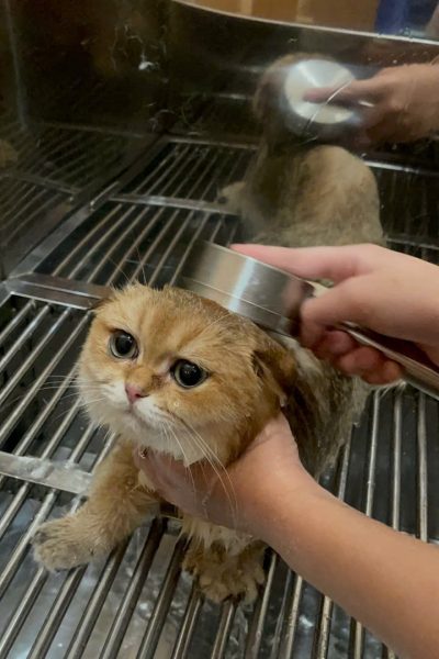 z7284335242779_32a52b6c2f5e94af4f9a12faf3d7a322