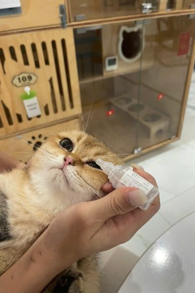 z7284335251824_bb067c2d876abd2a938ff49a10c772af