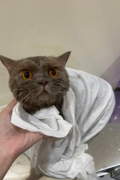 z7284335258127_1d7ee83c268eaec2a0560e766c079074