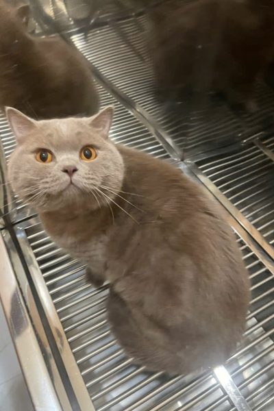 z7284335263972_d747f515de52fccb30b725cedbb9b3be