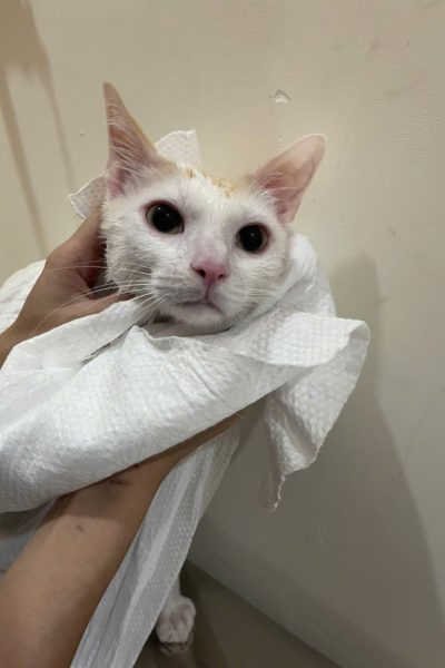 z7284335274717_39469cd162e71b816b36c6bce23315e8