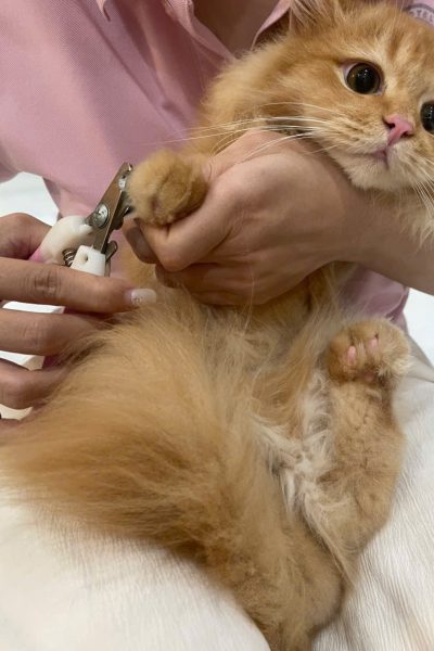 z7284335274981_6fd4901a8f67bc046cdbb8583d9701de