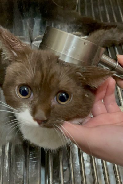 z7284335286041_23225fd07100b5d5e5aa4ecbb7e125d2