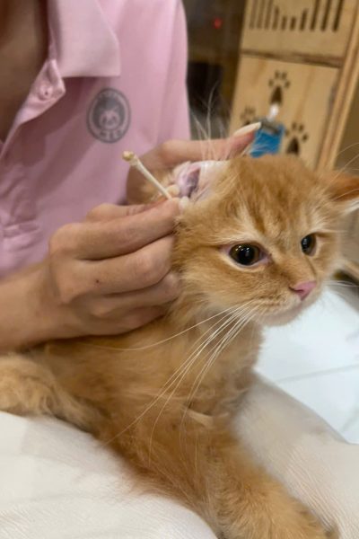 z7284335286281_07a82c0d5195e3c134f3cdde1b48dfe3