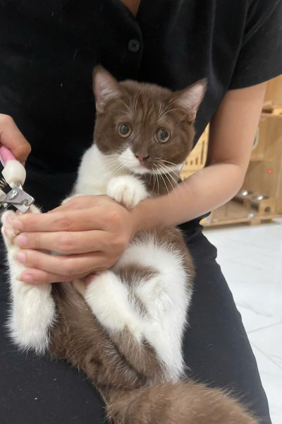 z7284335296862_0085e98ce0aebccd6d67061790e0688f