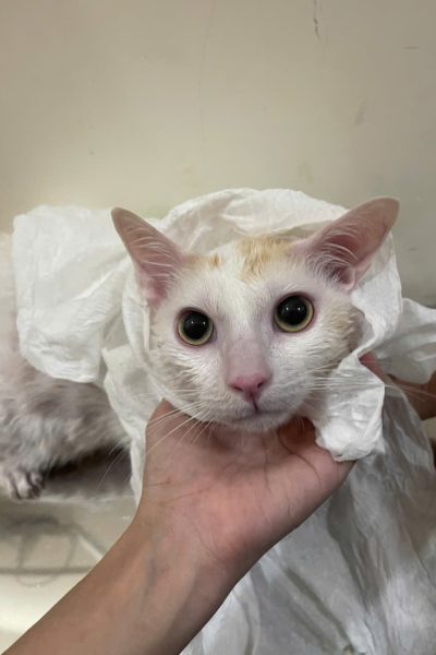 z7284335299245_975149247c95b9eeaed7ca116610a714