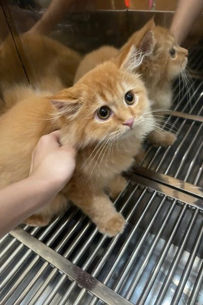 z7284335308524_479d9ba4e298af6a177b0d9e8f7ba1fb