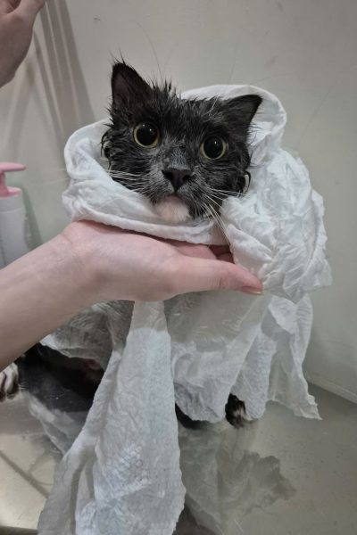 z7284335309190_df6f9adc1bd0f2ffc4adeef127c8879c