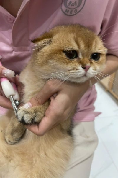 z7284335322071_df7fdf0255755747d9684e3cc1cbc311