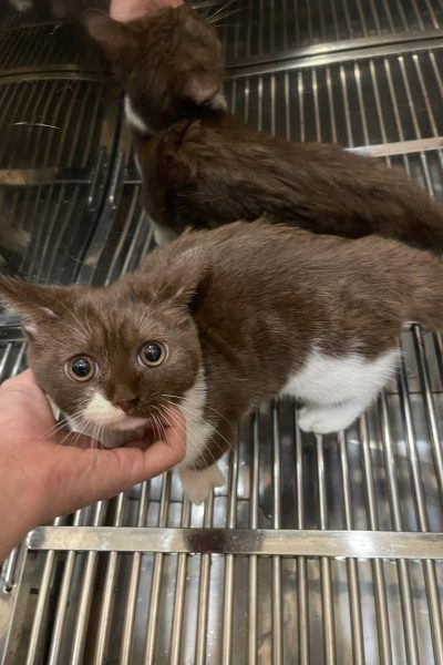 z7284335327832_034e1dd2896f5651f86b4a4e883b7791